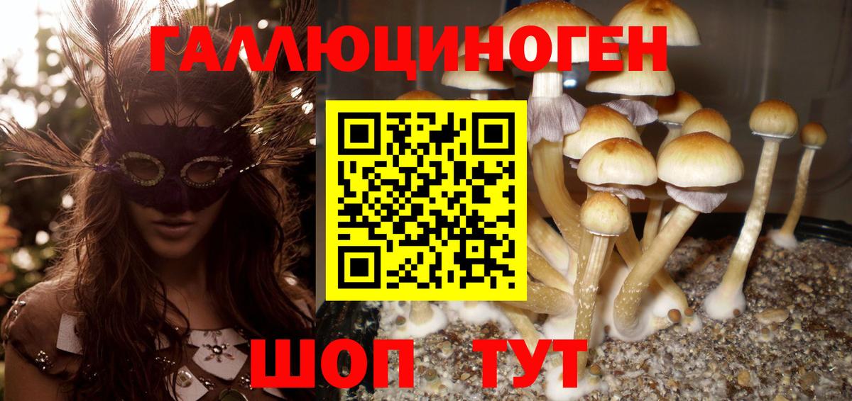 Можга  магазин продажи наркотиков  Галлюциногенные грибы ЛСД  Вход с VPN  Галлюциногенные грибы ЛСД 