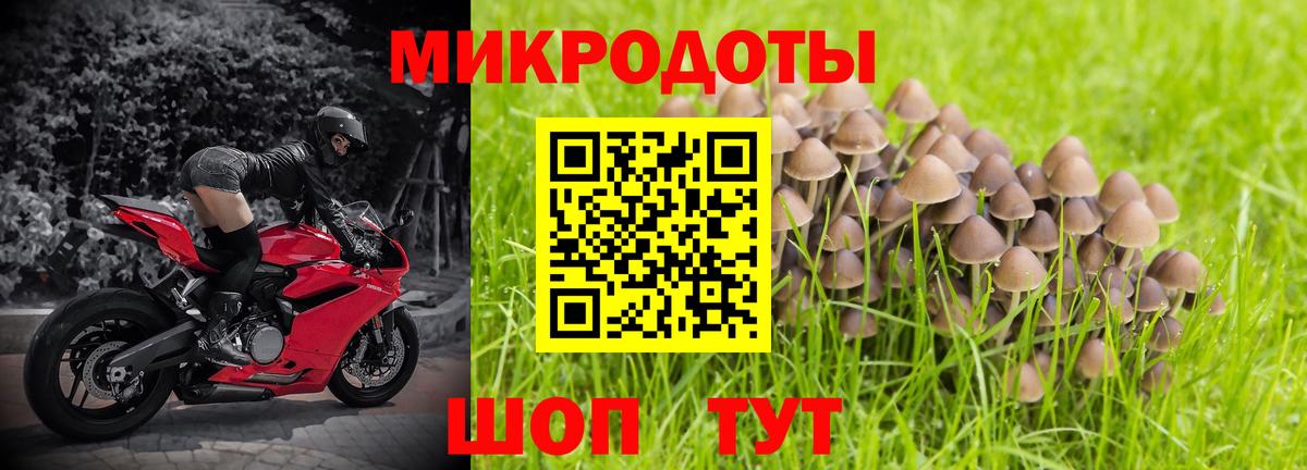 Галлюциногенные грибы Cubensis Можга